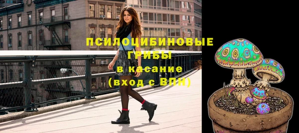 бошки Алексеевка