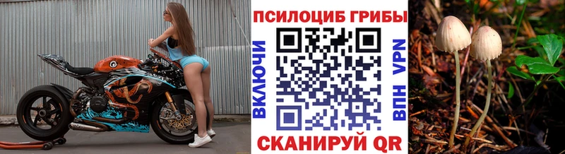 Псилоцибиновые грибы мухоморы  купить наркоту  Переславль-Залесский 