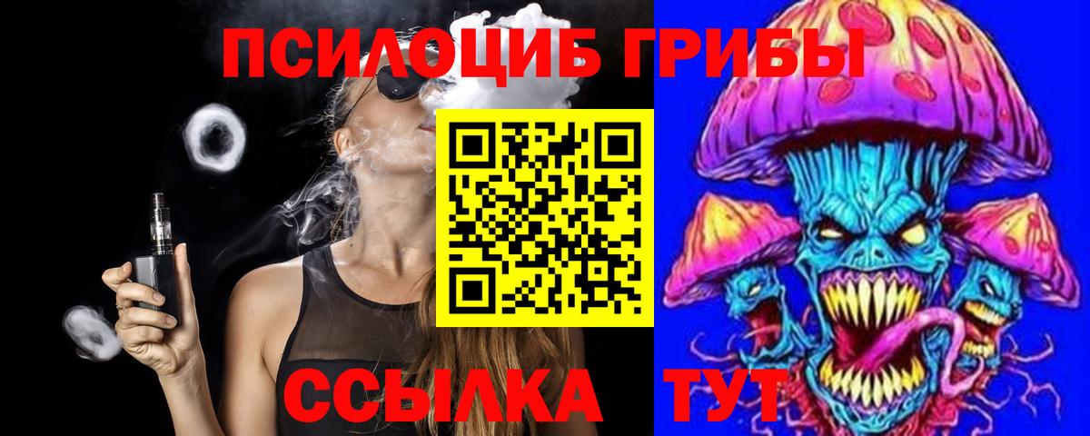 Псилоцибиновые грибы Psilocybine cubensis Переславль-Залесский