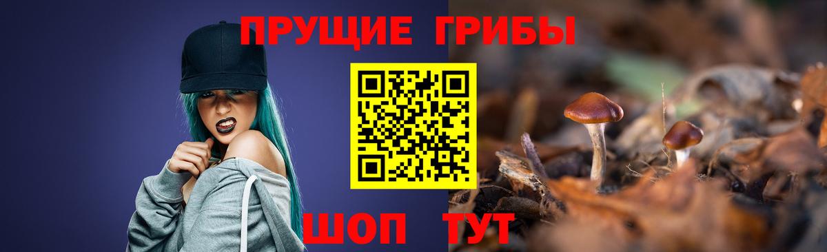 Переславль-Залесский  Галлюциногенные грибы GOLDEN TEACHER  Вход с VPN 