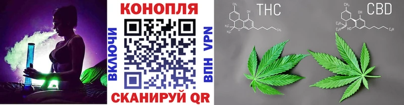 Каннабис сатива  Переславль-Залесский 